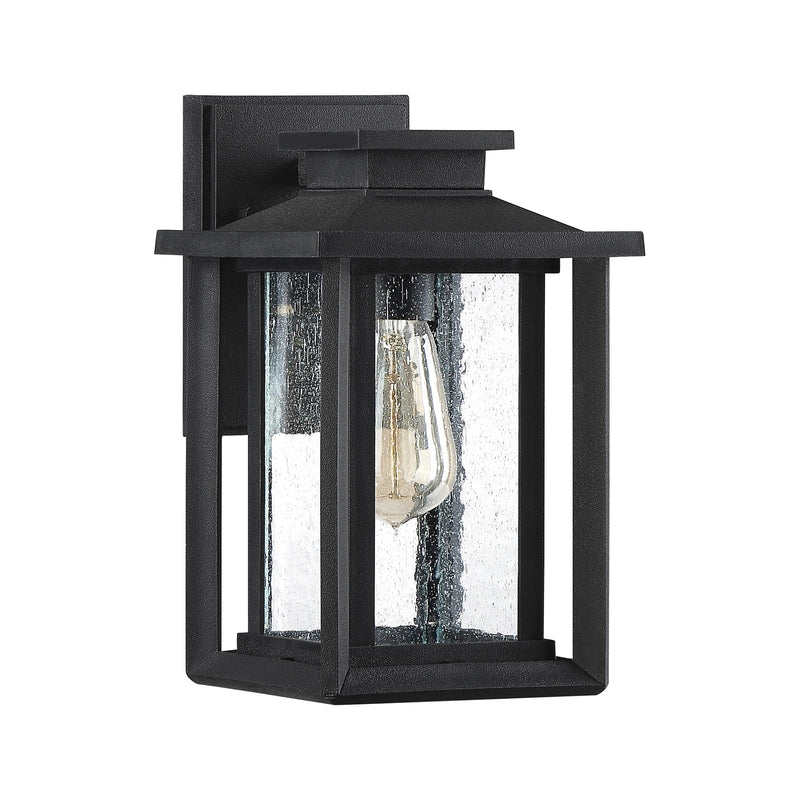 Quoizel Wakefield 11in 1-Light Outdoor Wall Lantern | Coastal Earth Black and Clear Seedy Glass | Porch & Entryway | Model WKF8407EK
