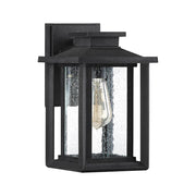 Quoizel Wakefield 11in 1-Light Outdoor Wall Lantern | Coastal Earth Black and Clear Seedy Glass | Porch & Entryway | Model WKF8407EK