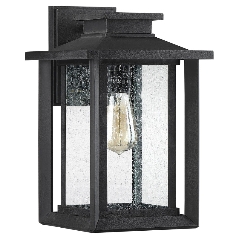 Quoizel Wakefield 9in 1-Light Outdoor Wall Lantern | Coastal Earth Black and Clear Seedy Glass | Entryway & Porch | Model WKF8409EK