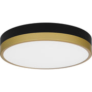 Quoizel Weldin 11in LED Flush Mount | Modern Matte Black Gold and White Acrylic | Entryway & Hallway | 11 x 11 x 2 in | Model WLN1611MBKG