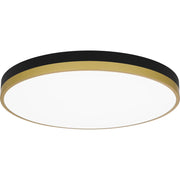 Quoizel Weldin 20in Integrated LED Flush Mount | Modern Matte Black Gold and White Acrylic | Entryway & Hallway | 20 x 20 x 2 in | Model WLN1620MBKG