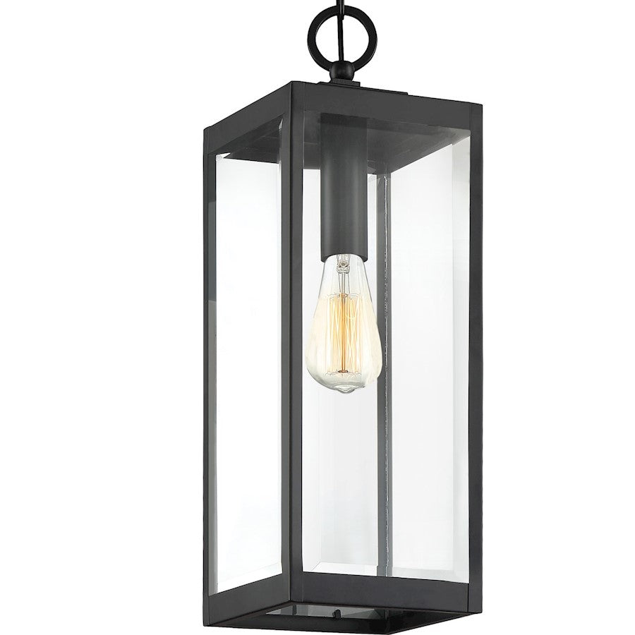 Quoizel Westover 1 Light Mini Pendant, Clear Seeded
