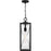 Quoizel Zarah 1Light Mini Pendant, Matte Black/Clear Hammered Glass