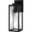 Quoizel Zarah 1Lt 14" Outdoor Lantern, Black/Clear Hammered Glass