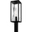 Quoizel Zarah 1Lt 21" Outdoor Lantern, Black/Clear Hammered