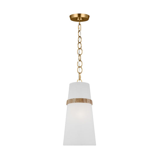 Visual Comfort Alexa Hampton Cordtlandt 1 Lt Pendant, RT/WHL - AP1161RTN