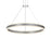 Sonneman Double Corona 2Lt LED Ring Pendant, Aluminum/Frosted - 2305-16-J20