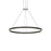 Sonneman Double Corona 2Lt LED 48" Pendant, Black/Frosted White - 2307-25-J20
