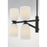 Savoy House Essentials Baldwin 8Lt Chandelier, Black/White Opal