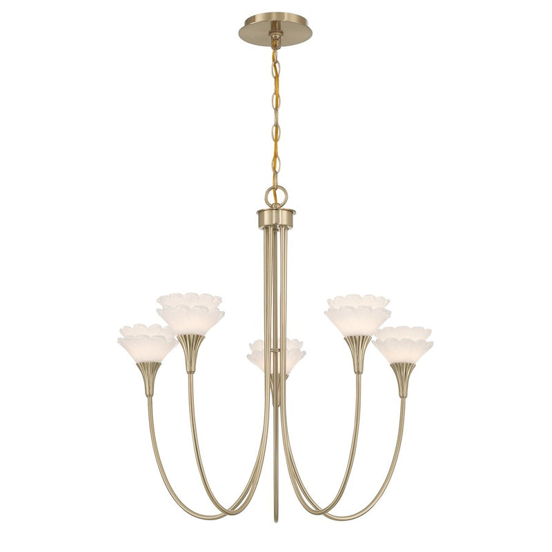 Savoy House Florena 5 Lt Chandelier, White, Noble Brass