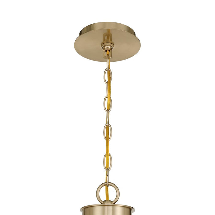Savoy House Florena 10 Lt Chandelier, White, Noble Brass