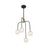 Savoy House Couplet 4Lt Chandelier, Black/Brass