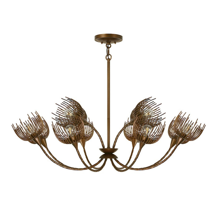 Savoy House Protea 12 Light Chandelier, Manchester