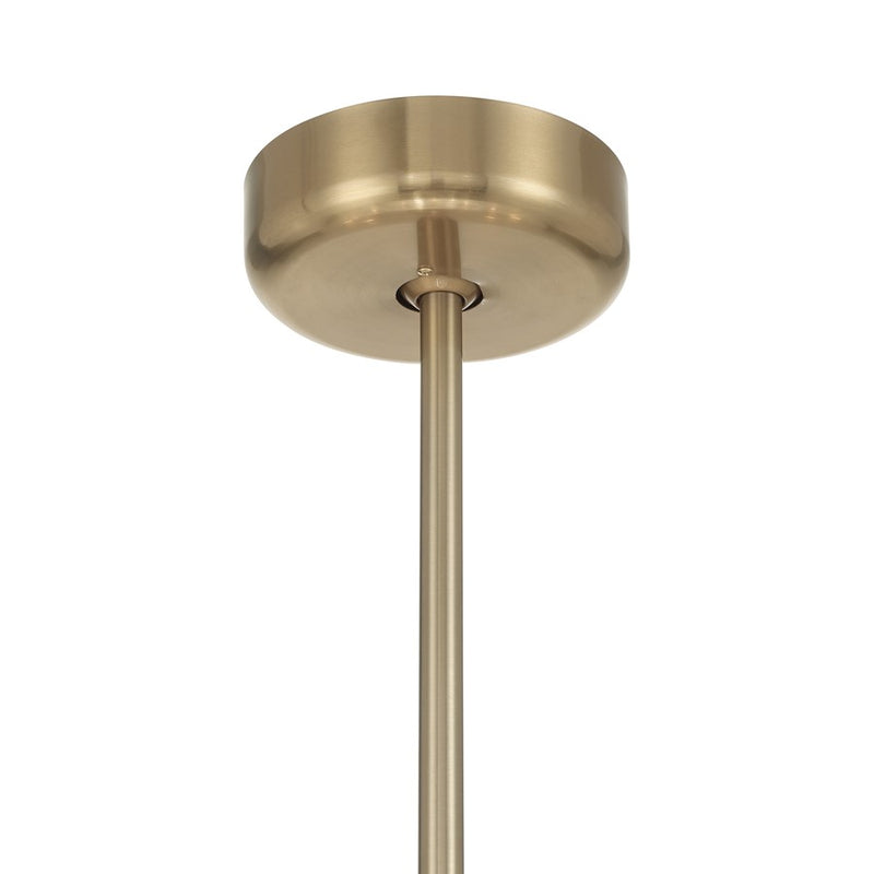 Savoy House Celina 12 Lt Ceiling Fan, Fan D'Lier, Noble Brass