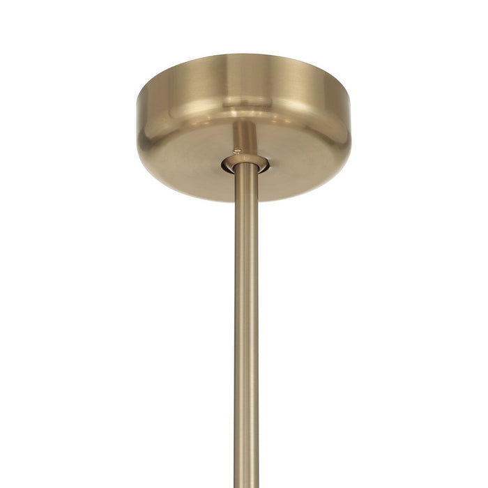 Savoy House Celina 12 Lt Ceiling Fan, Fan D'Lier, Noble Brass