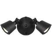 Savoy House Lighting Assets 2 Lt Outdoor, Flood, Black - 4-FLOOD-A2-3CCT-BK