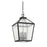 Savoy House Woodstock 4-Light Outdoor Hanging Lantern, Black