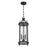 Savoy House Preston 3Lt Outdoor Hanging Lantern, Iron, Iron Oxide