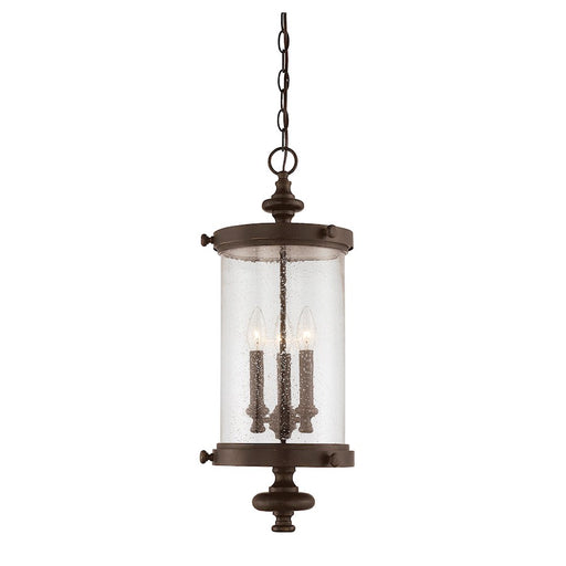 Savoy House Palmer 3-Light Outdoor Hanging Lantern, Walnut Patina - 5-1222-40