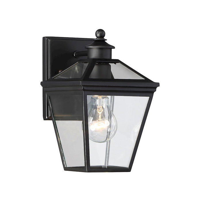 Savoy House Ellijay 1-Light Outdoor Wall Lantern, Black - 5-140-BK