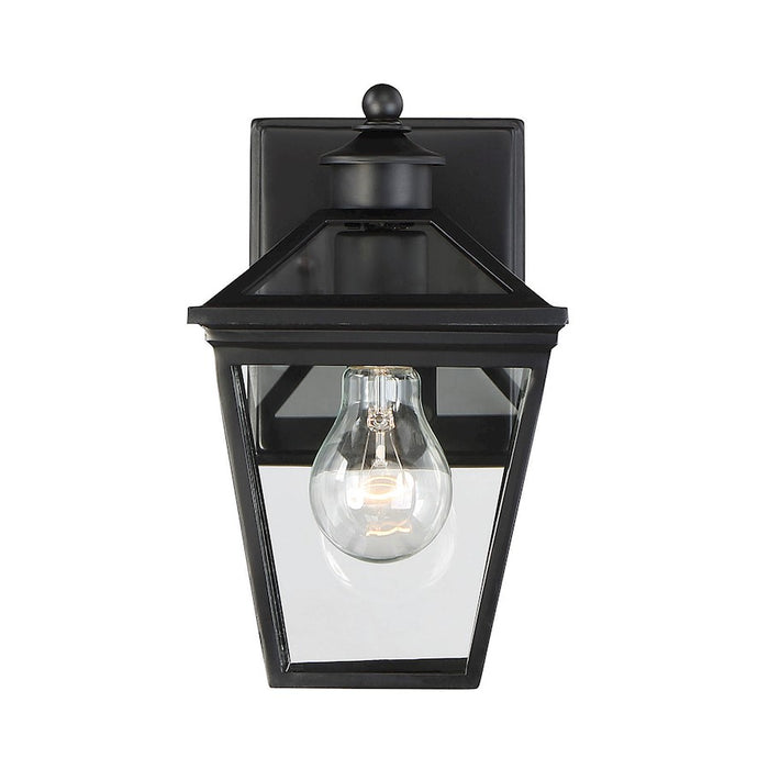 Savoy House Ellijay 1-Light Outdoor Wall Lantern, Black