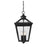 Savoy House Ellijay 4-Light Outdoor Hanging Lantern, Black - 5-145-BK