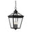 Savoy House Ellijay 4-Light Outdoor Hanging Lantern, Black