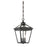 Savoy House Ellijay 3-Light Outdoor Hanging Lantern, English Bronze - 5-146-13