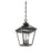 Savoy House Ellijay 3-Light Outdoor Hanging Lantern, English Bronze