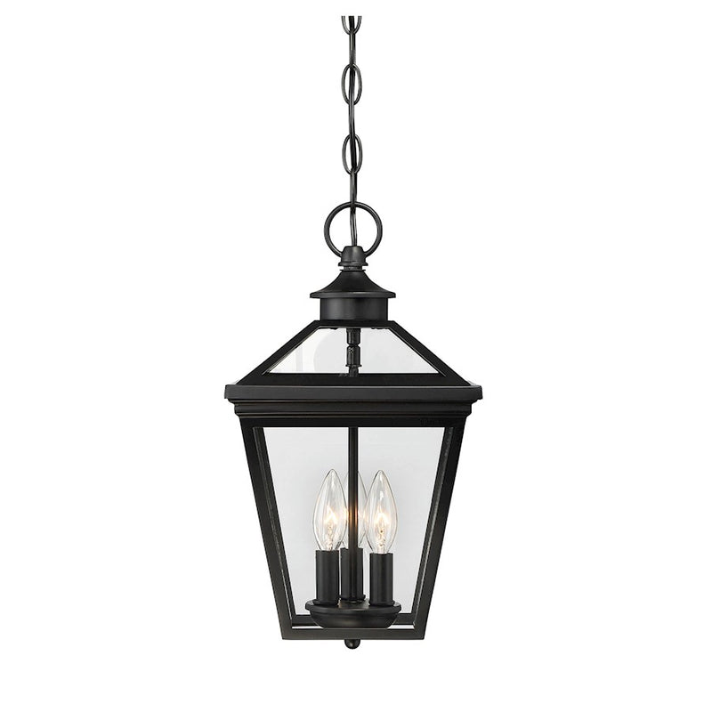 Savoy House Ellijay 3-Light Outdoor Hanging Lantern, Black