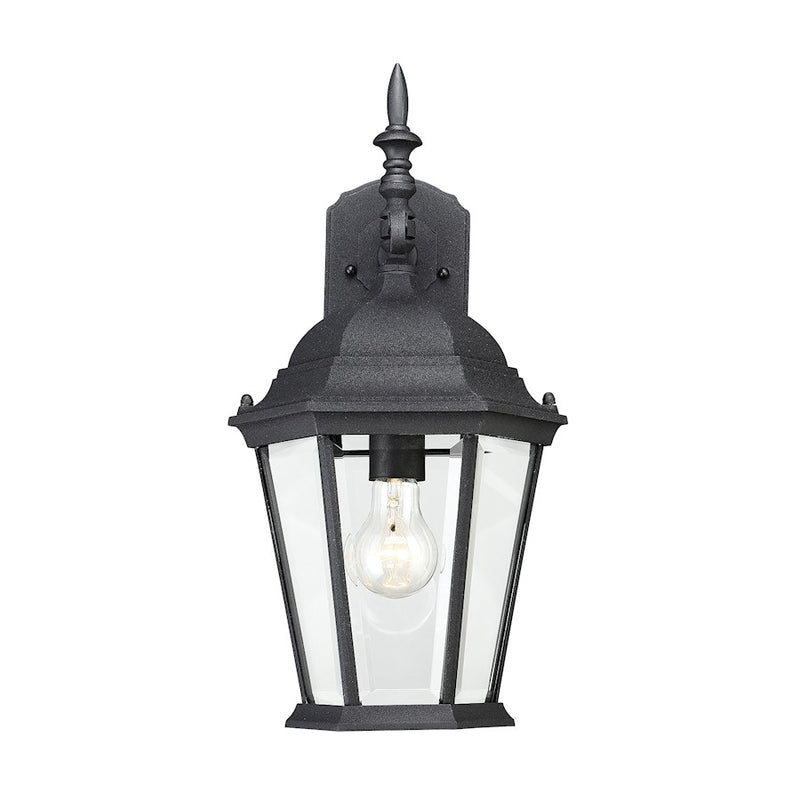 Savoy House Exterior Collection 1 Light 9" Wall Lantern, Black