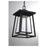 Savoy House Denver 1-Light Outdoor Hanging Lantern, Matte Black