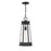 Savoy House Payne 1Lt Outdoor Hanging Lantern, Black/Clear Beveled - 5-208-BK