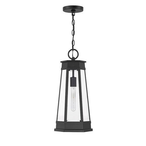Savoy House Payne 1Lt Outdoor Hanging Lantern, Black/Clear Beveled