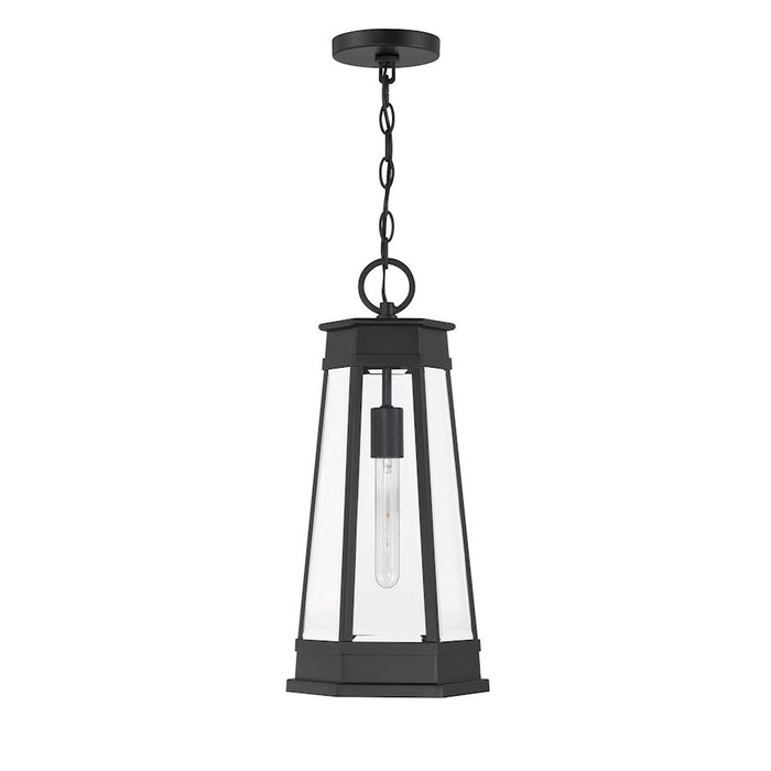 Savoy House Payne 1Lt Outdoor Hanging Lantern, Black/Clear Beveled