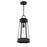 Savoy House Payne 1Lt Outdoor Hanging Lantern, Black/Clear Beveled