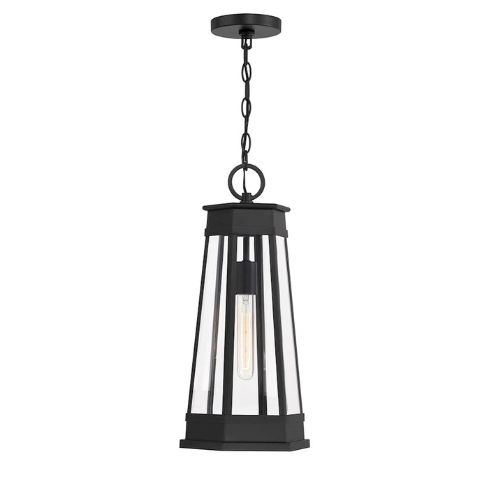 Savoy House Payne 1Lt Outdoor Hanging Lantern, Black/Clear Beveled