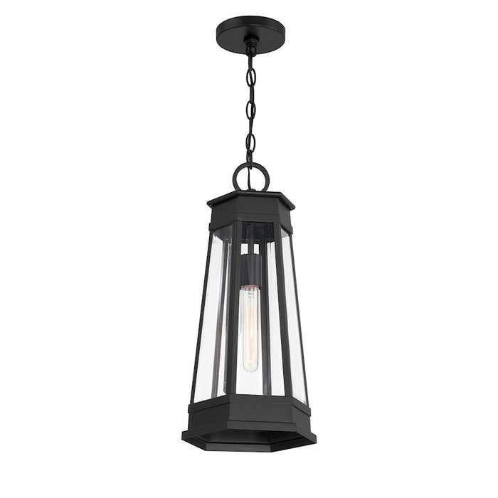 Savoy House Payne 1Lt Outdoor Hanging Lantern, Black/Clear Beveled