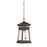 Savoy House Taylor 2-Light Outdoor Wall Lantern, English Bronze/Gold