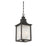 Savoy House Monte Grande 3-Light Outdoor Hanging Lantern, Slate