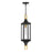 Savoy House Glendale 1Lt Outdoor Hanging Lantern, Black/Brass/Seeded