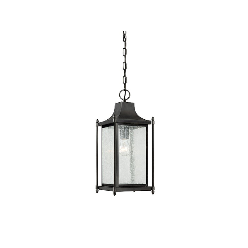 Savoy House Dunnmore 1-Light Outdoor Hanging Lantern, Black