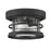 Savoy House Barrett 1-Light Outdoor Ceiling Light, Black - 5-369-10-BK