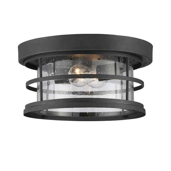 Savoy House Barrett 2-Light Outdoor Ceiling Light, Black - 5-369-13-BK