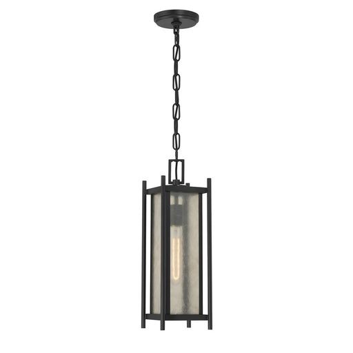 Savoy House Jacobs 1Lt Outdoor Hanging Lantern, Black/Clear - 5-3806-BK