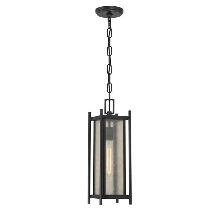 Savoy House Jacobs 1Lt Outdoor Hanging Lantern, Black/Clear - 5-3806-BK
