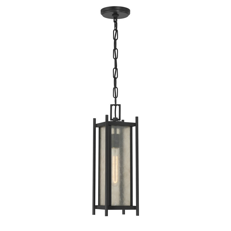 Savoy House Jacobs 1Lt Outdoor Hanging Lantern, Black/Clear