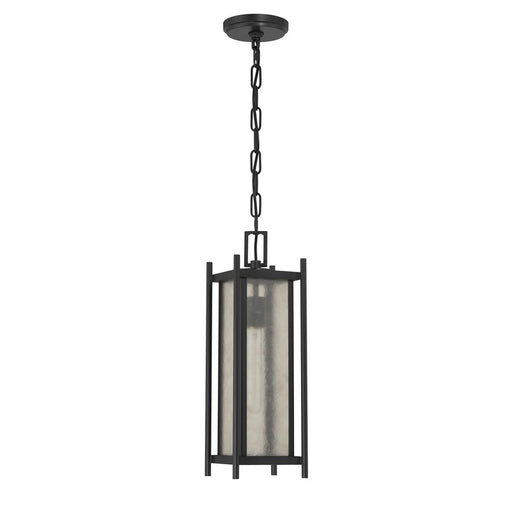 Savoy House Jacobs 1Lt Outdoor Hanging Lantern, Black/Clear