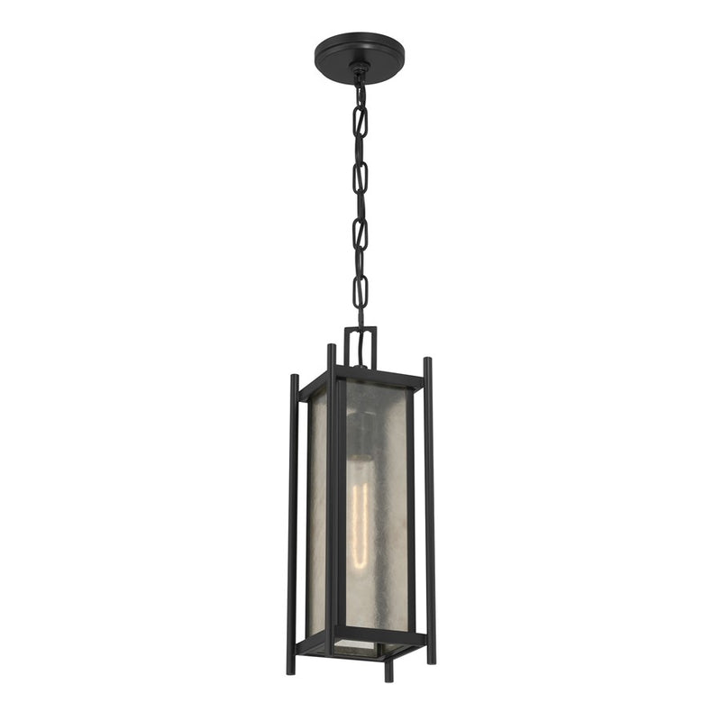 Savoy House Jacobs 1Lt Outdoor Hanging Lantern, Black/Clear