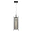 Savoy House Jacobs 1Lt Outdoor Hanging Lantern, Black/Clear